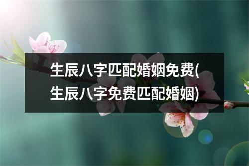 生辰八字匹配婚姻免费(生辰八字免费匹配婚姻)