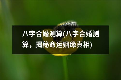 八字合婚测算(八字合婚测算，揭秘命运姻缘真相)