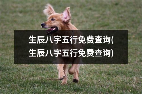 生辰八字五行免费查询(生辰八字五行免费查询)