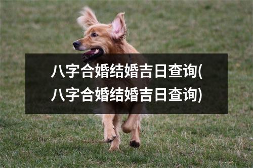 八字合婚结婚吉日查询(八字合婚结婚吉日查询)