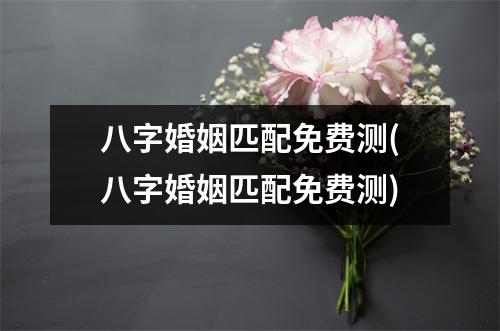 八字婚姻匹配免费测(八字婚姻匹配免费测)