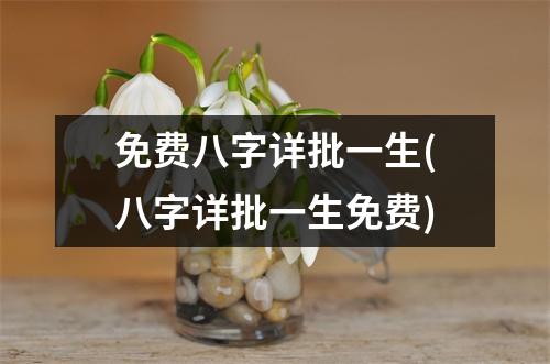 免费八字详批一生(八字详批一生免费)