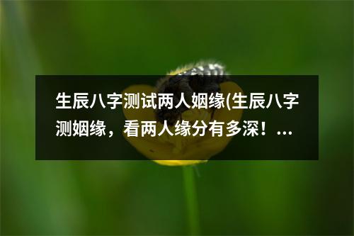 生辰八字测试两人姻缘(生辰八字测姻缘，看两人缘分有多深！)