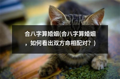 合八字算婚姻(合八字算婚姻，如何看出双方命相配对？)