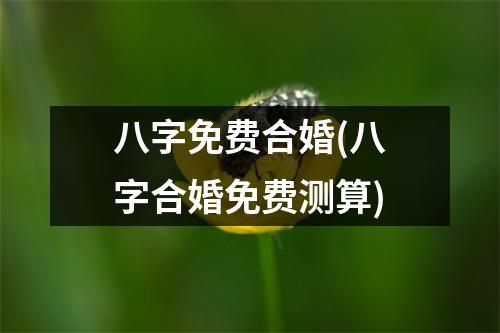 八字免费合婚(八字合婚免费测算)