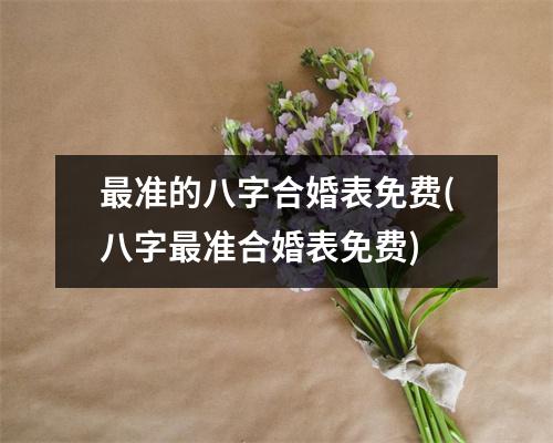 准的八字合婚表免费(八字准合婚表免费)