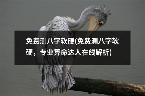 免费测八字软硬(免费测八字软硬，专业算命达人在线解析)