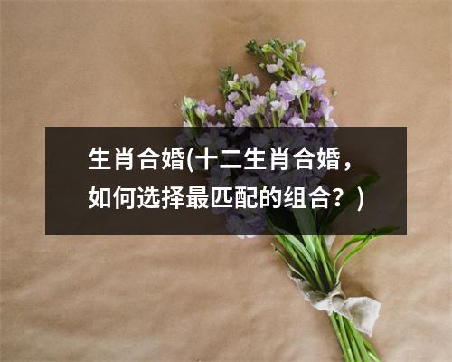 生肖合婚(十二生肖合婚，如何选择匹配的组合？)