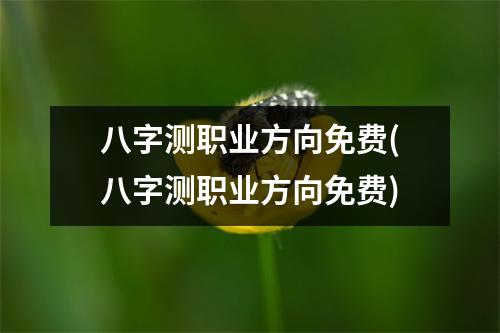 八字测职业方向免费(八字测职业方向免费)