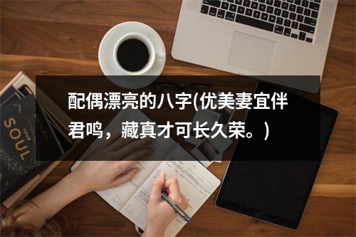 配偶漂亮的八字(优美妻宜伴君鸣，藏真才可长久荣。)