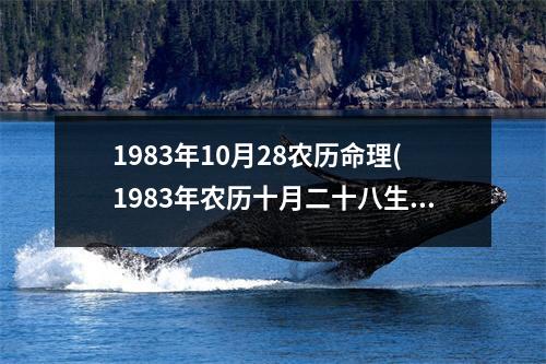 1983年10月28农历命理(1983年农历十月二十八生辰八字命理分析)