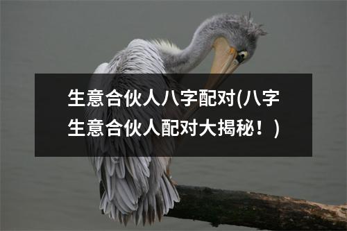 生意合伙人八字配对(八字生意合伙人配对大揭秘！)