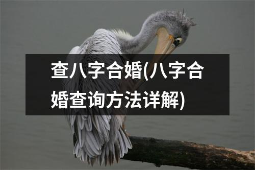 查八字合婚(八字合婚查询方法详解)