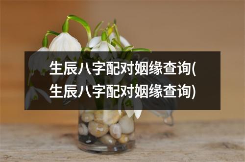 生辰八字配对姻缘查询(生辰八字配对姻缘查询)