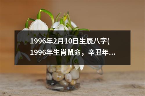 1996年2月10日生辰八字(1996年生肖鼠命，辛丑年正月二十，生辰八字。)