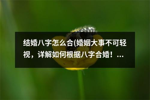 结婚八字怎么合(婚姻大事不可轻视，详解如何根据八字合婚！)