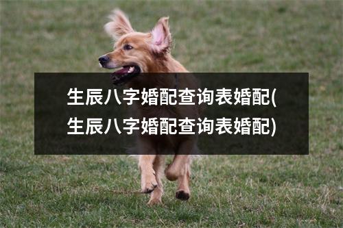 生辰八字婚配查询表婚配(生辰八字婚配查询表婚配)