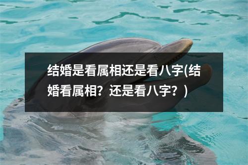 结婚是看属相还是看八字(结婚看属相？还是看八字？)