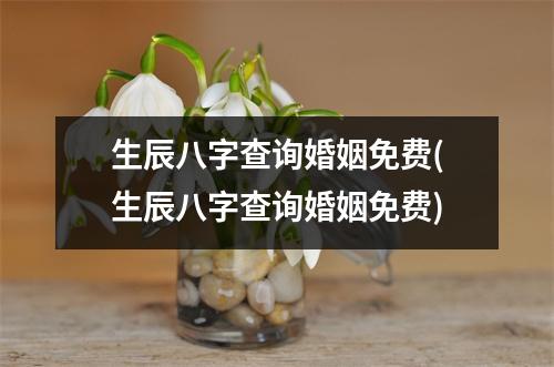 生辰八字查询婚姻免费(生辰八字查询婚姻免费)