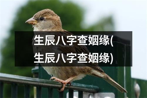 生辰八字查姻缘(生辰八字查姻缘)