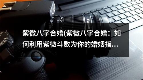 紫微八字合婚(紫微八字合婚：如何利用紫微斗数为你的婚姻指引方向？)