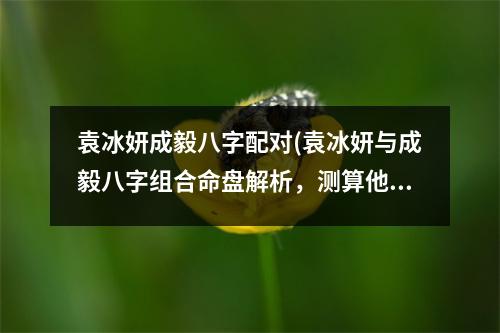 袁冰妍成毅八字配对(袁冰妍与成毅八字组合命盘解析，测算他们的姻缘是否天生一对)