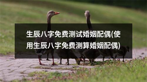 生辰八字免费测试婚姻配偶(使用生辰八字免费测算婚姻配偶)