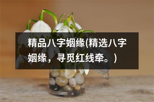 精品八字姻缘(精选八字姻缘，寻觅红线牵。)