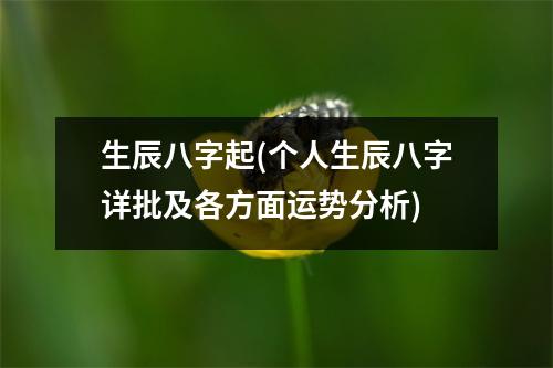 生辰八字起(个人生辰八字详批及各方面运势分析)