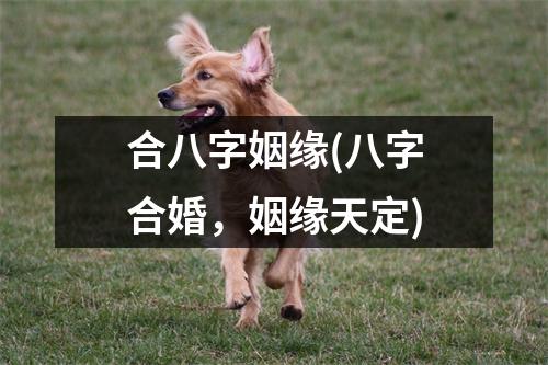 合八字姻缘(八字合婚，姻缘天定)