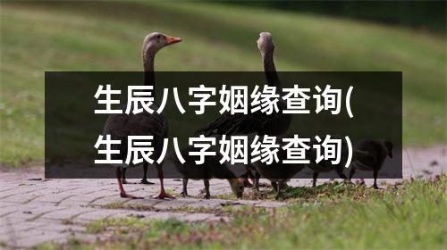 生辰八字姻缘查询(生辰八字姻缘查询)