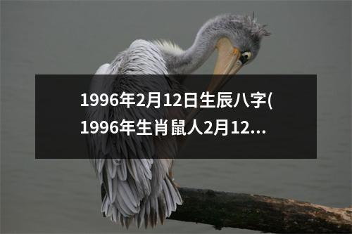 1996年2月12日生辰八字(1996年生肖鼠人2月12日出生八字分析)