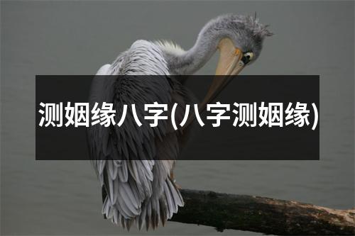 测姻缘八字(八字测姻缘)