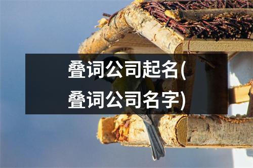 叠词公司起名(叠词公司名字)