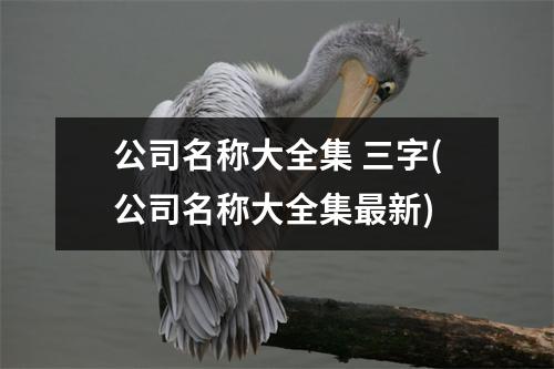 公司名称大全集 三字(公司名称大全集新)