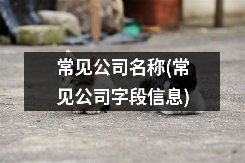 常见公司名称(常见公司字段信息)