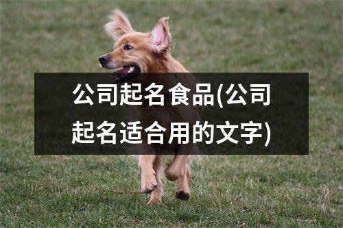 公司起名食品(公司起名适合用的文字)