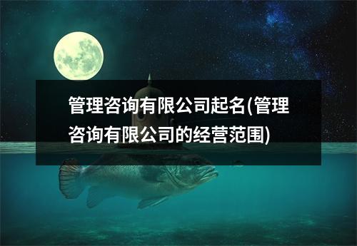 管理咨询有限公司起名(管理咨询有限公司的经营范围)