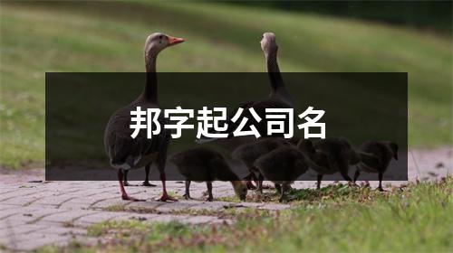 邦字起公司名