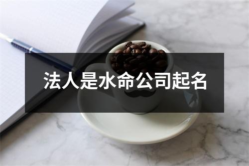 法人是水命公司起名