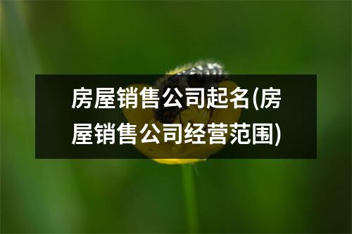 房屋销售公司起名(房屋销售公司经营范围)