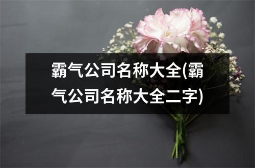 霸气公司名称大全(霸气公司名称大全二字)