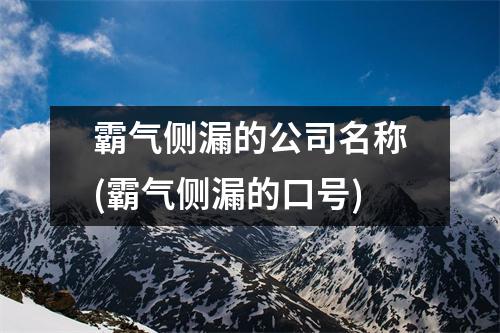 霸气侧漏的公司名称(霸气侧漏的口号)