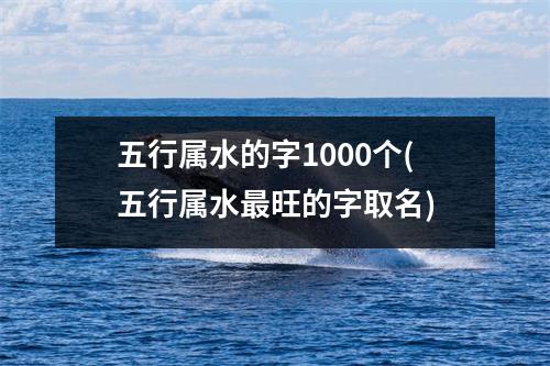 五行属水的字1000个(五行属水旺的字取名)