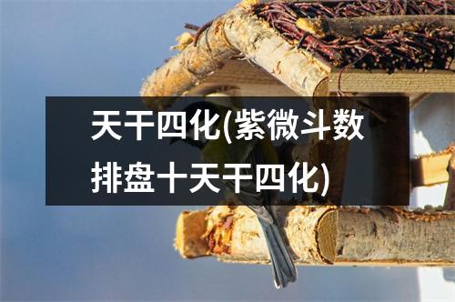 天干四化(紫微斗数排盘十天干四化)