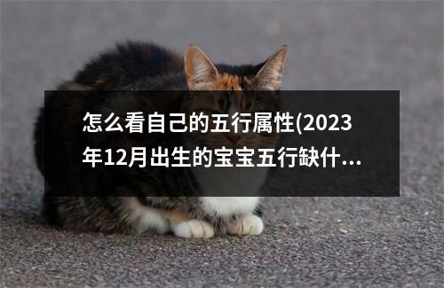 怎么看自己的五行属性(2023年12月出生的宝宝五行缺什么)