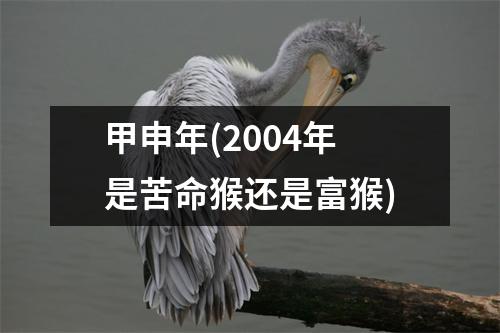 甲申年(2004年是苦命猴还是富猴)