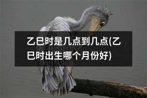 乙巳时是几点到几点(乙巳时出生哪个月份好)