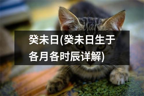 癸未日(癸未日生于各月各时辰详解)