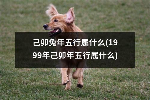 己卯兔年五行属什么(1999年己卯年五行属什么)